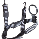 MSA 3 POINT CHINSTRAP